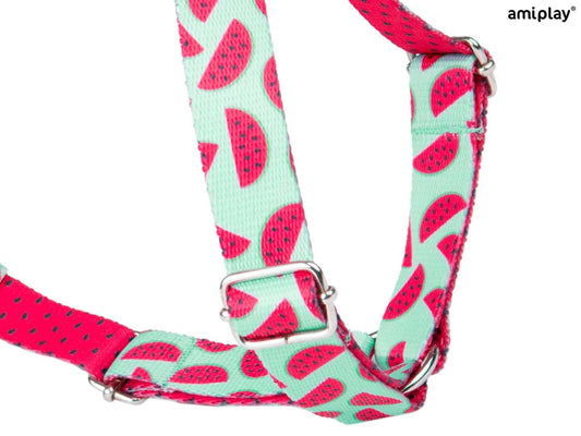 Harnais Guard Be Happy Watermelon