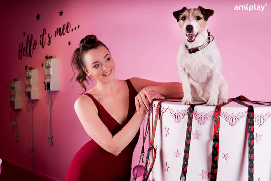 Laisse 8in1 Be Happy L Cherry