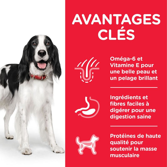 Pâtée pour Chien Adulte (1-6) - à la Dinde 370Gr