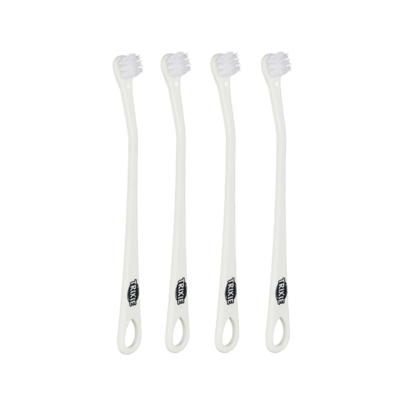 Set brosses à dents