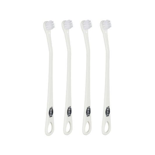 Set brosses à dents