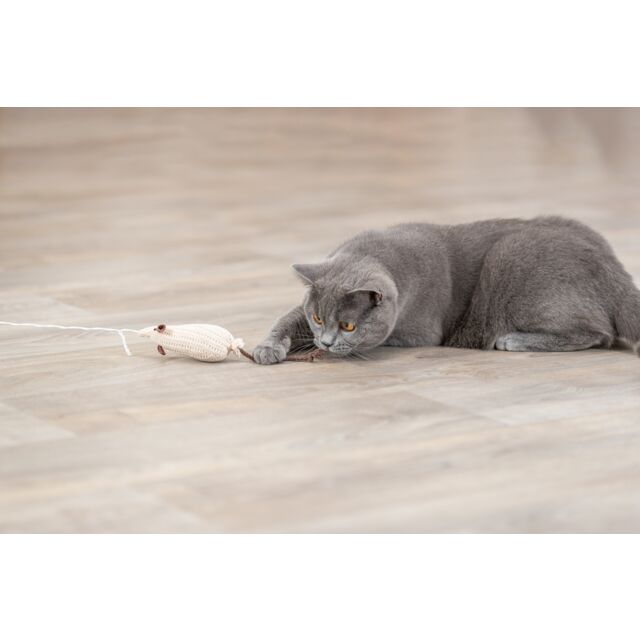 Canne à pêche Souris