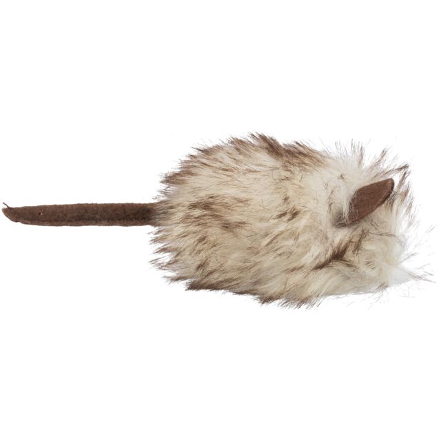 Souris à Fourrure