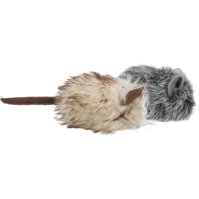 Souris à Fourrure