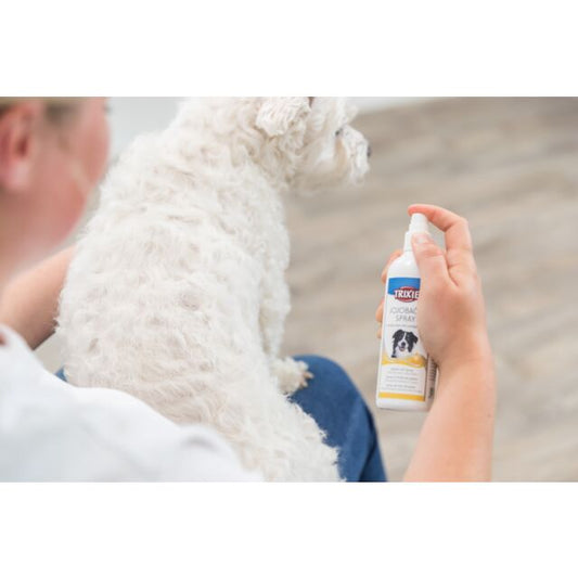 Spray à l'huile de jojoba 175Ml