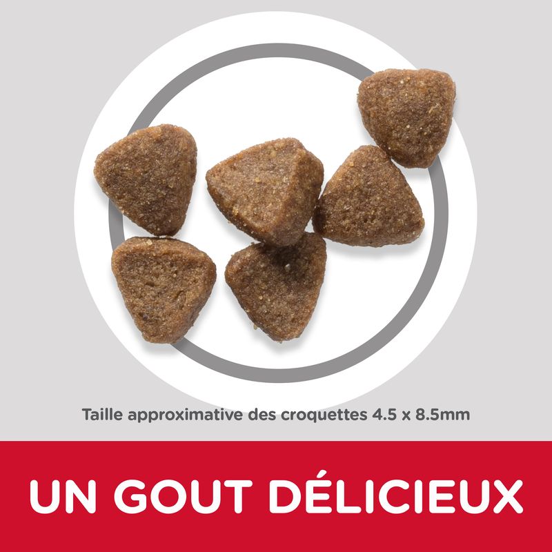 Croquettes pour Chaton - au Poulet 300Gr