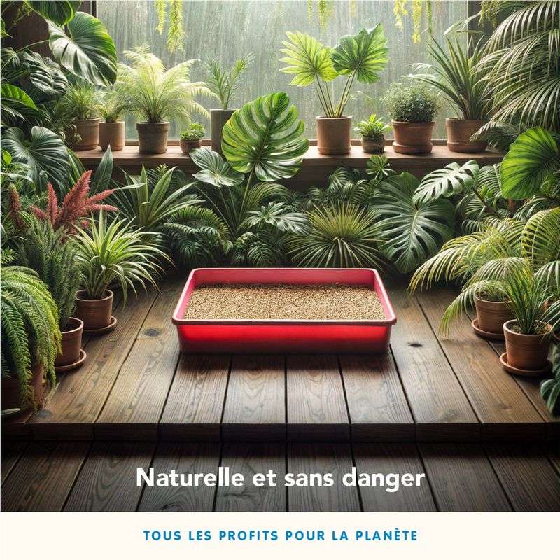 Litière Almo Nature Natural Grain Texture pour chat