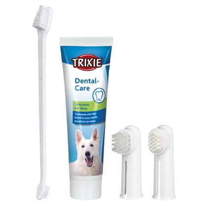 Set d'hygiène dentaire