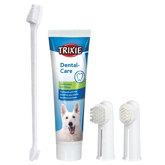 Set d'hygiène dentaire