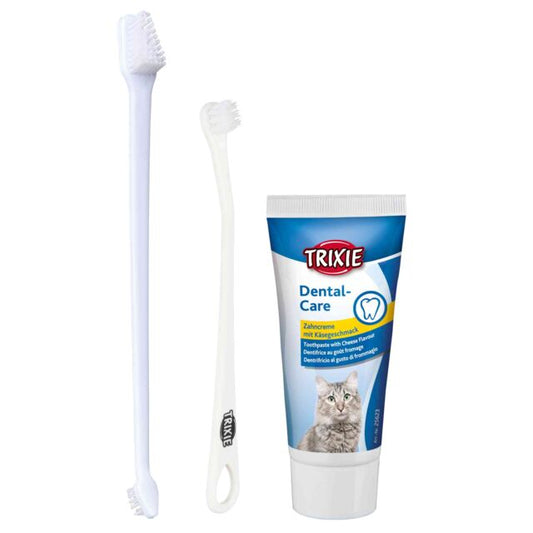 Set d'hygiène dentaire